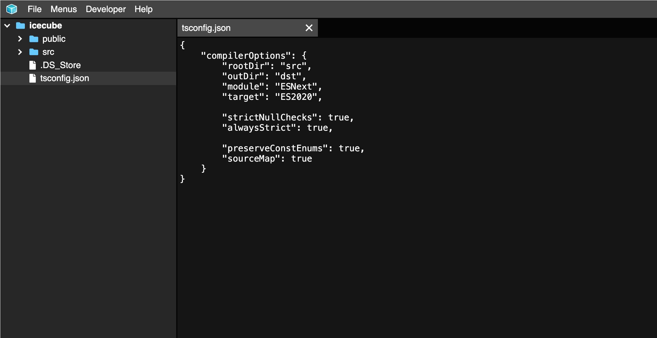 ICECube IDE